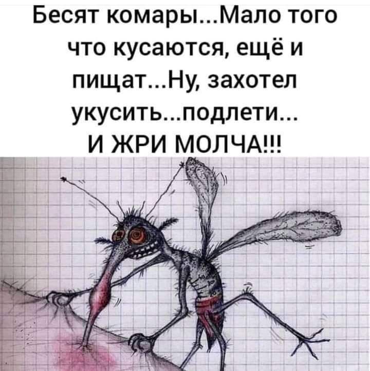 Бесят комарыМапо того что кусаются ещё и пищатНу захотел укуситьподлети И ЖРИ МОЛЧА
