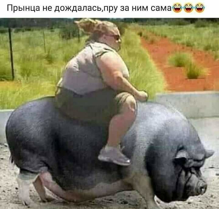 Прынца не дождаласьлру за ним самаёее