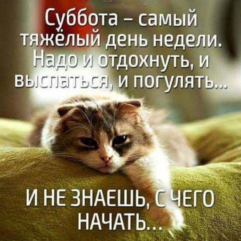 Суббота самый желыи день недел дохнуть погупя НАЧАТЬЁ
