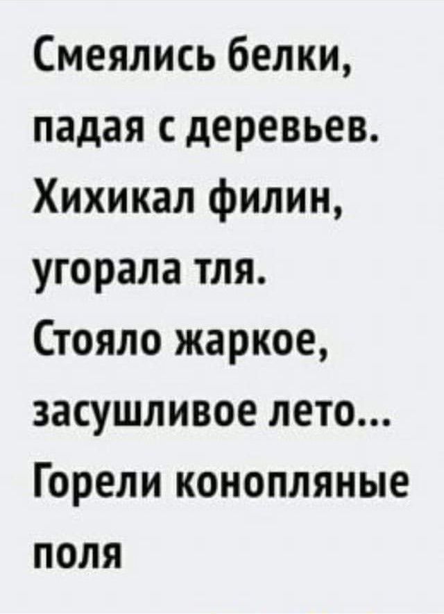 Смеялись белки падая с деревьев Хихикал филин угорала тля Стояло жаркое засушливое лето Горели конопляные поля
