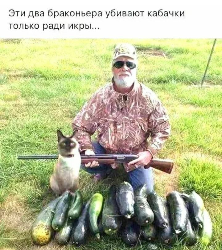 Эти два браконьера убивают кабачки только ради икры