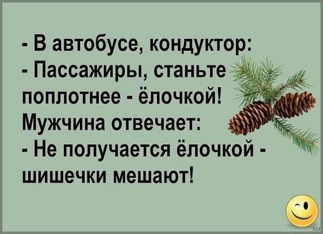 В автобусе кондуктор Пассажиры станьте поплотнее ёлочкой Мужчина отвечает Не получается ёпочкой шишечки мешают