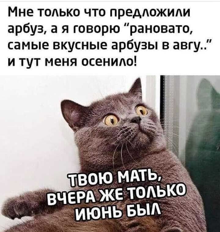 Мне только что предложили арбуз а я говорю рановато самые вкусные арбузы в авгу и тут меня осентю
