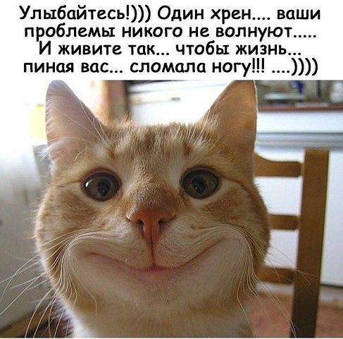 Улыбайтесь Один хрен ваши проблемы никого не волнуют И живите так чтобы жизнь пиная вас сломала ногу