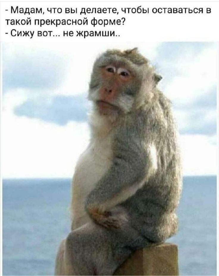 Мадам что вы делаете чтобы оставаться в такой прекрасной форме Сижу вот не жрамши