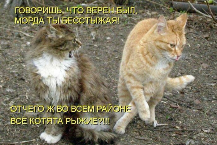 говоришьмто верен а_ып МОРДА ткыизвзсіъркдяч зтчыб савсем АЙ всі ксчятд