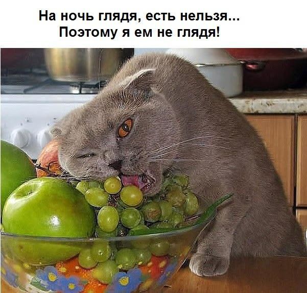На ночь глядя есть нельзя Поэтому я ем не глядя