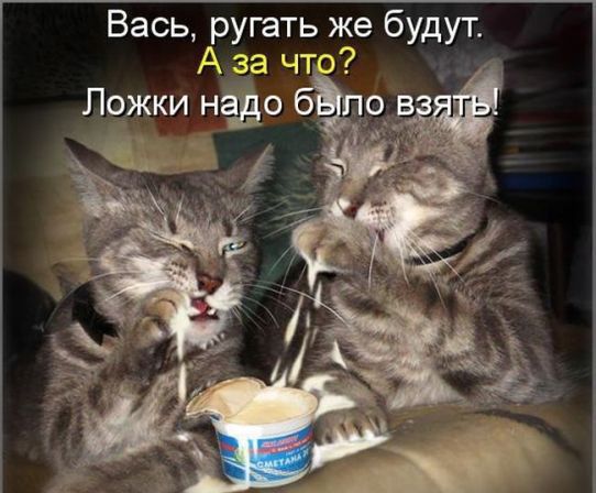 Вась ругать же будут 7