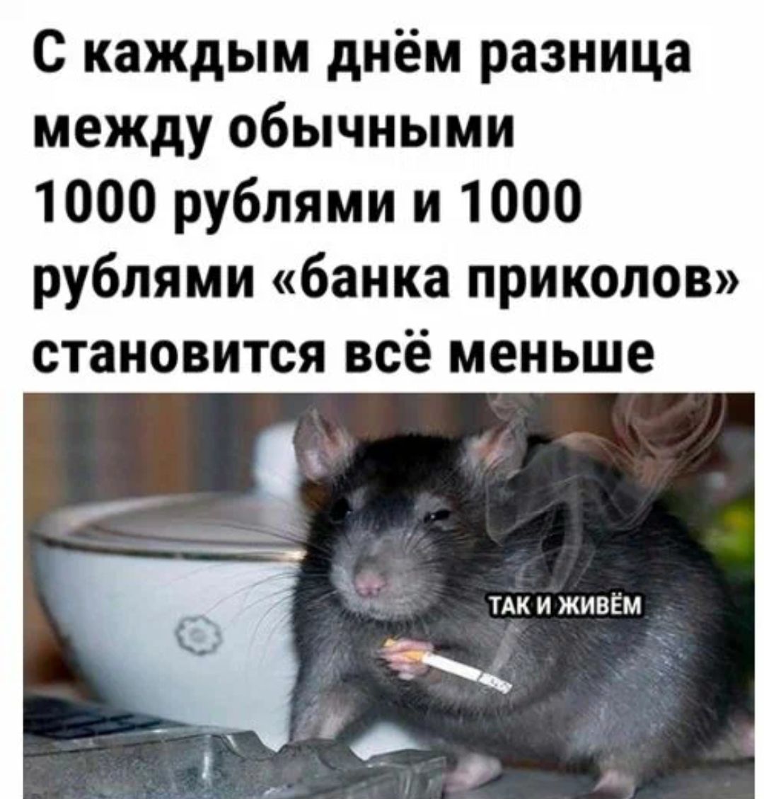 с каждым днём разница между обычными 1000 рублями и 1000 рублями банка приколов становится всё меньше р УАК И ЖИВЁМ і д