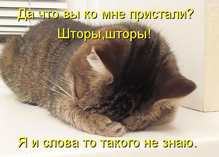 Я и плова то
