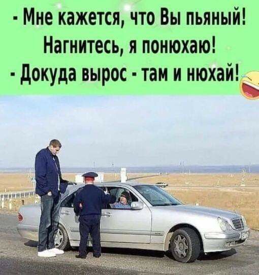 Мне кажется что Вы пьяный Нагнитесь я понюхаю докуда вырос там и нюхай