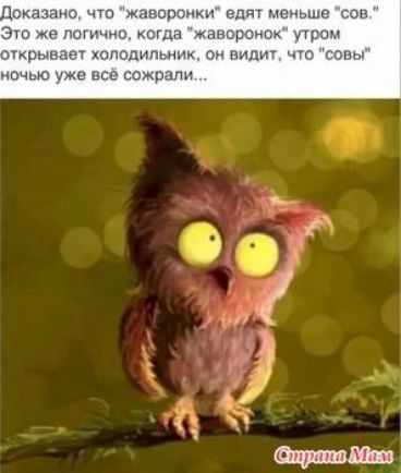 Шутт г тп НГ шч ц мцц чнши п аи щ