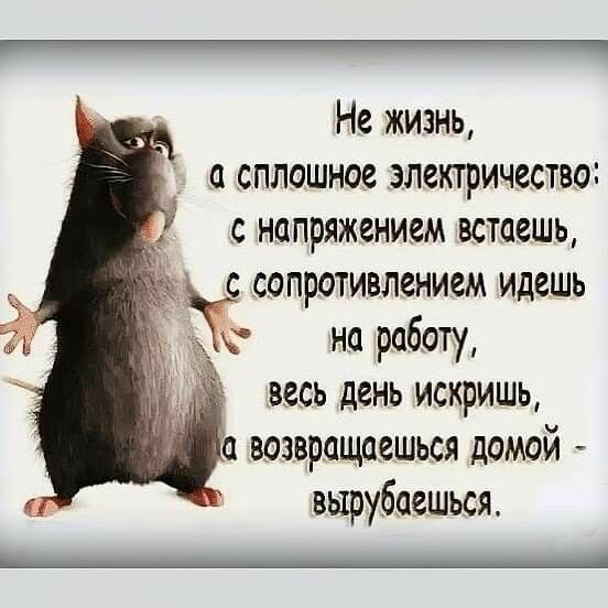 Не жизнь а сплошное электричество с напряжением встаешь с сопротивлением идешь ЖТ на работу весь день искришь возвращаешься домой вырубоешься е_