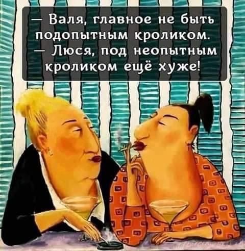 Валя главное не быть подопытным кроликом Люся под неопытным кроликом ещё хуже