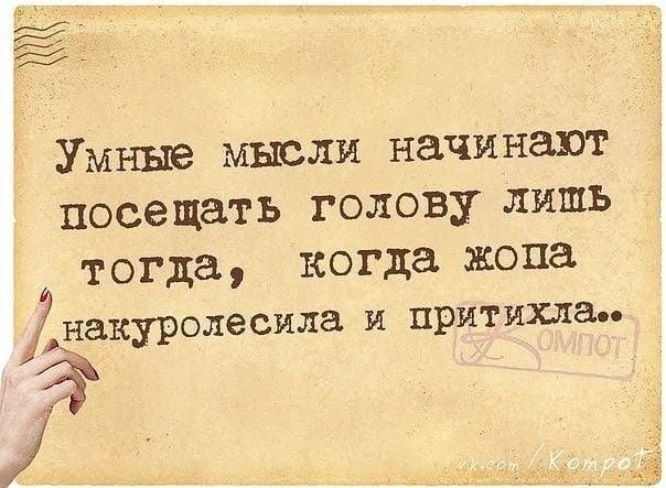 Умные мысли начинают посещать голову лишь тогда когда жопа накуролесила И притихли