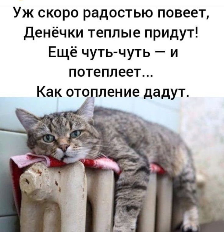 Уж скоро радостью повеет Денёчки теплые придут Ещё чуть чуть и потеплеет Как отопление дадут