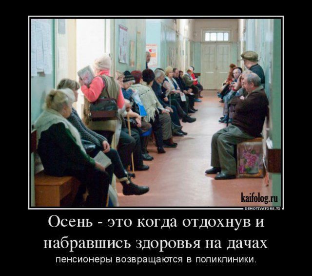 Осень это КОГда отдохнув и набравшись ЗДОРОВЬЯ На дачах пенсионеры возвращатся в попикпиники