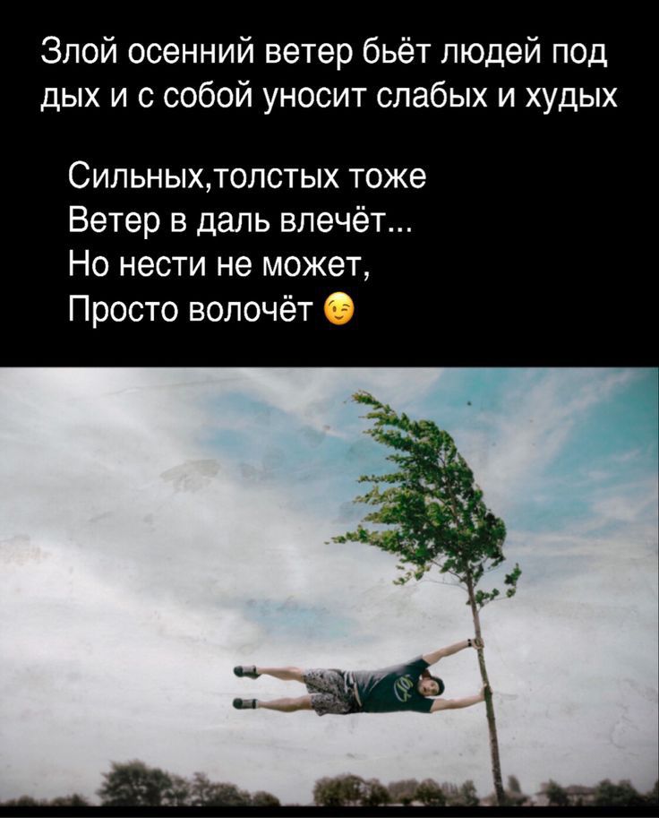 Злой осенний ветер бьёт людей под дых и с собой уносит слабых и худых Сипьныхтопстых тоже Ветер в даль влечёт Но нести не может Просто вопочёт