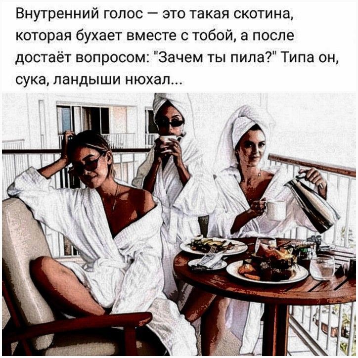 Внутренний голос это такая скотина которая бухает вместе с тобой а после достает вопросом Зачем ты пила Типа он сука ландыши нюхал