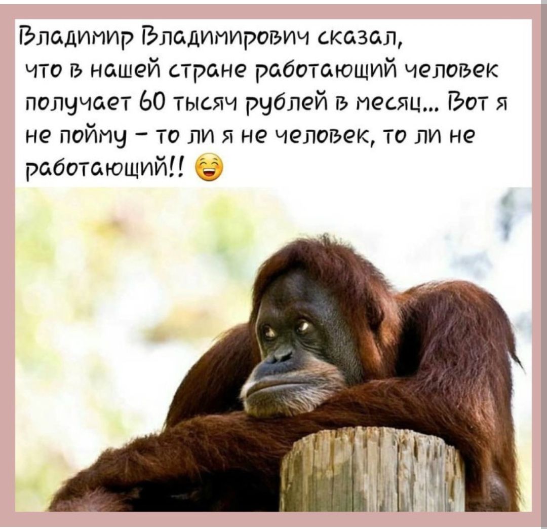 Владимир Бладипириэии сказал что в нашей стране работающий человек пспччает 70 тысяч рублей в месяц Бот я не ПОЙПЧ Т0 ПИ Я Не челов ек ТП ЛИ не райитающийи
