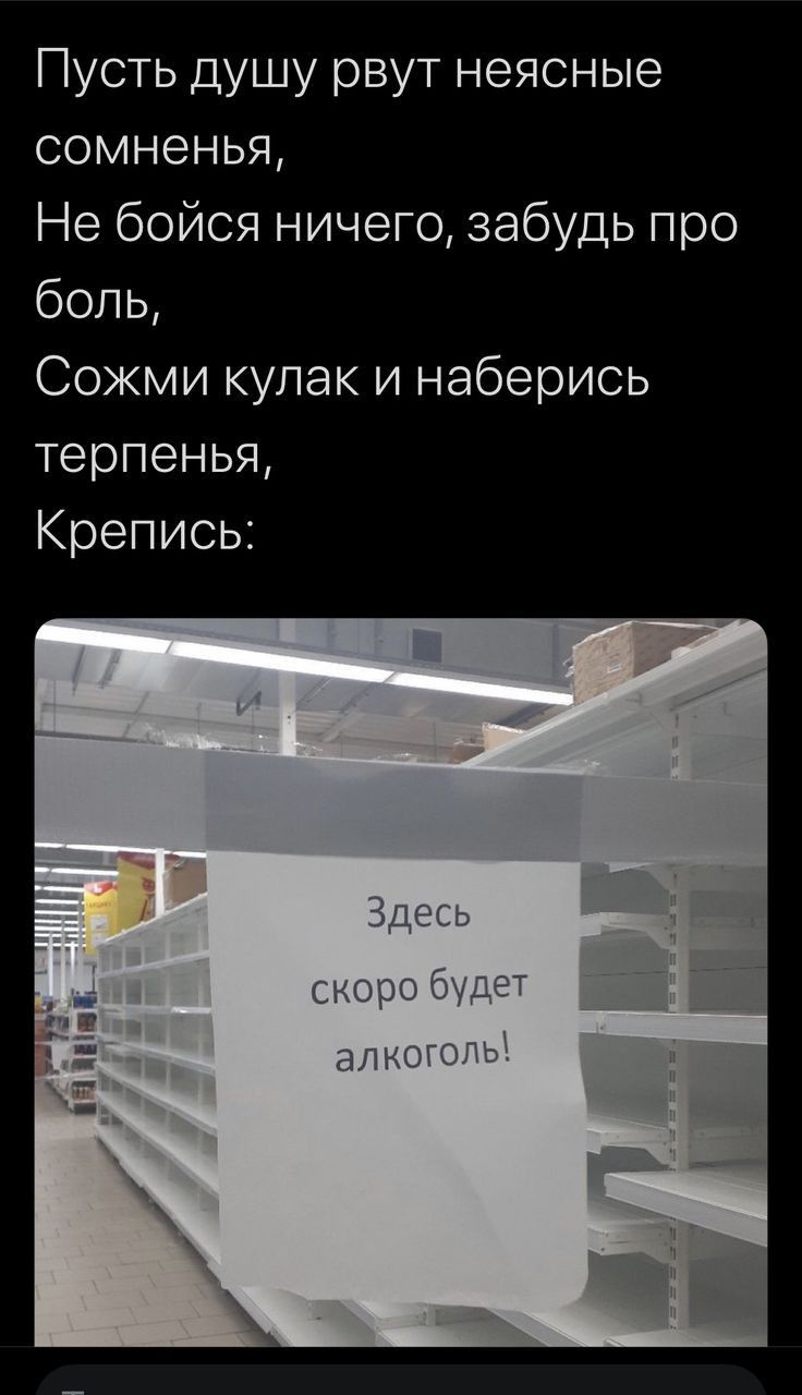 Пусть душу рвут неясные сомненья Не бойся ничего забудь про боль Сожми кулак и наберись терпенья Крепись