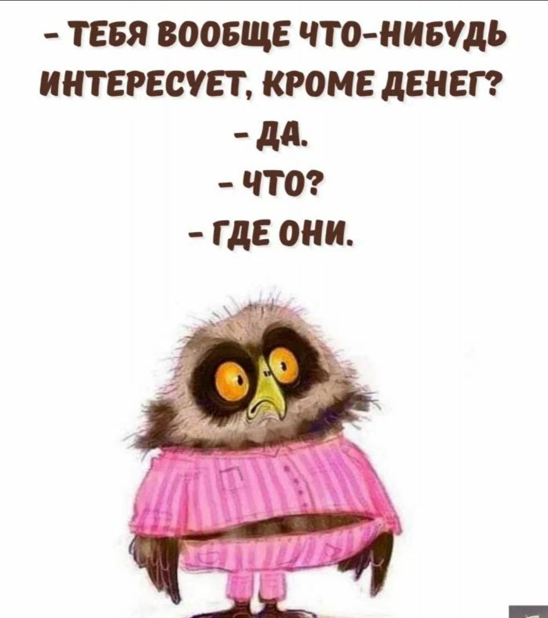 тя вооще что нивудь интересует кроме денег дд что где они