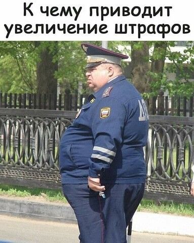 К чему приводит увеличение штрафов ЧЗ