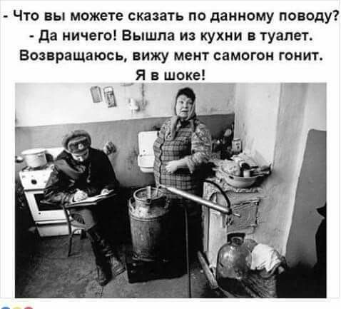 Что вы можете сказать по данному поводу да ничего Вышла из кухни в туалет Возвращаюсь вижу мент самогон гонит Я в шоке