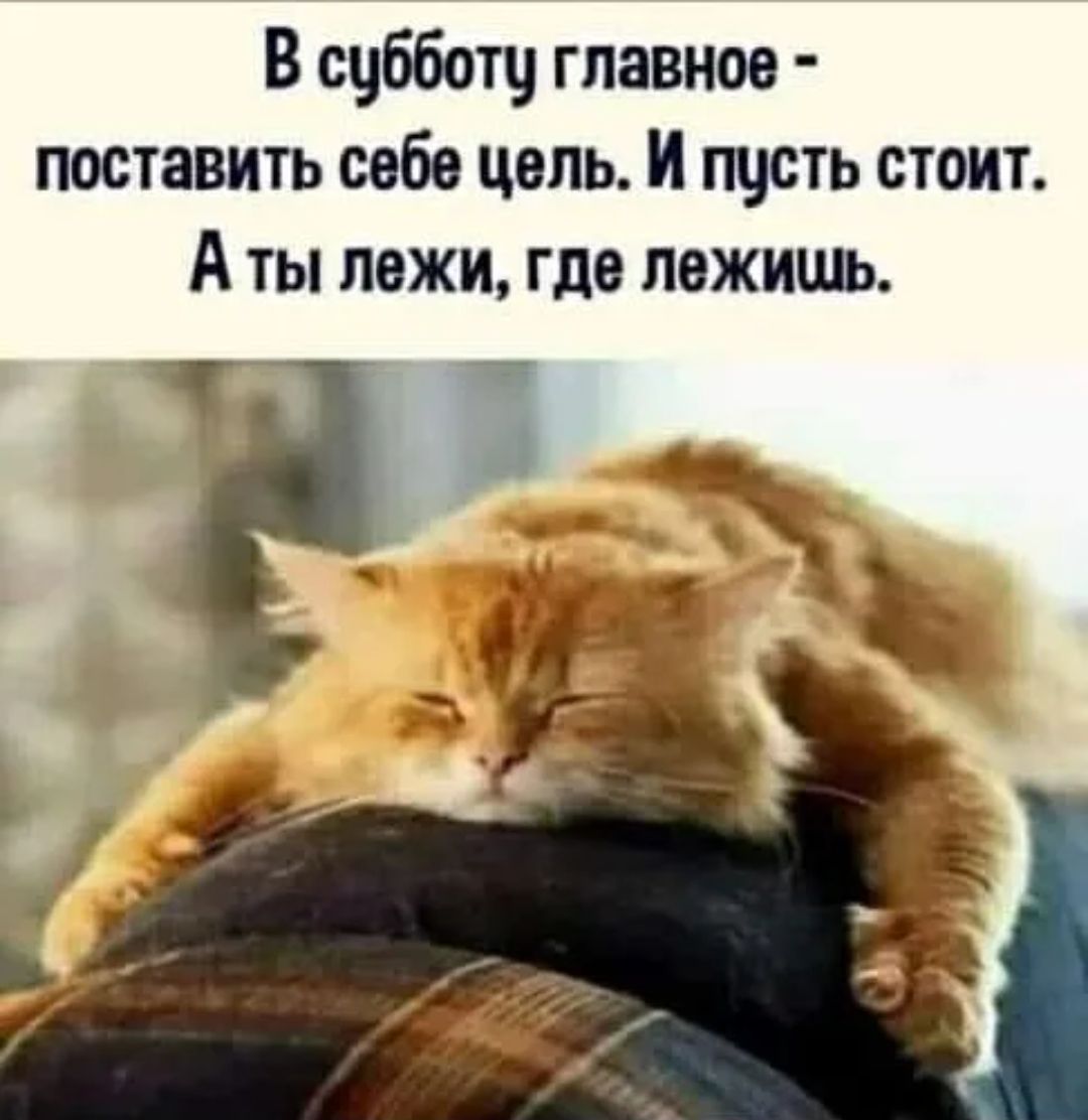 В сцбботц гпавнов поставить себе цель И пцсть стоит А ты ложи где лежишь