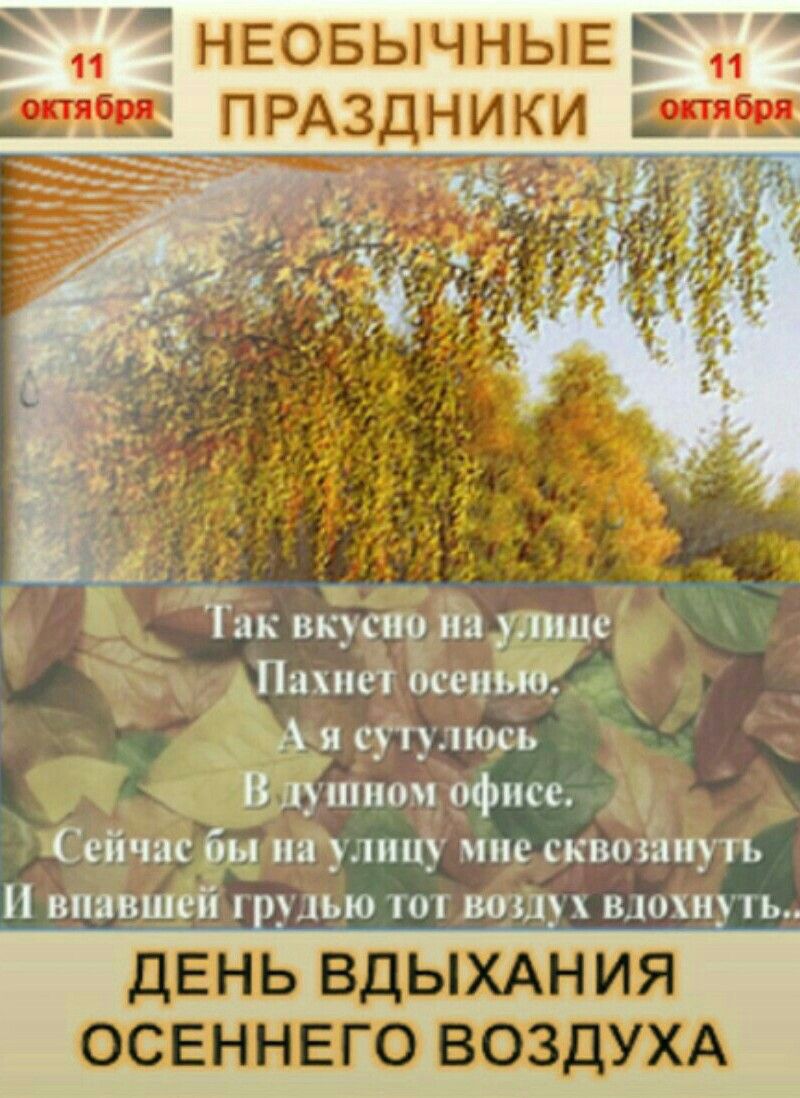 НЕОБЫЧНЫЕ Б ЧЁ ТПпи 3 ш _би щЁЁуЁЁЁквЫ уь
