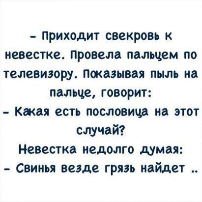 приходит свекровь к невестке Провела пальцем по телевигору Показывая пыль на пальце говорит Какая есть пословица на этот случай Невестка недолго думая Свинья везде грязь найдет