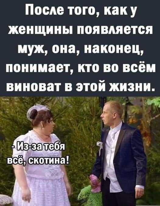 После того как у женщины появляется муж она наконец понимает кто во всём виноват в этой жизни _ с г я 7 всё скотина д