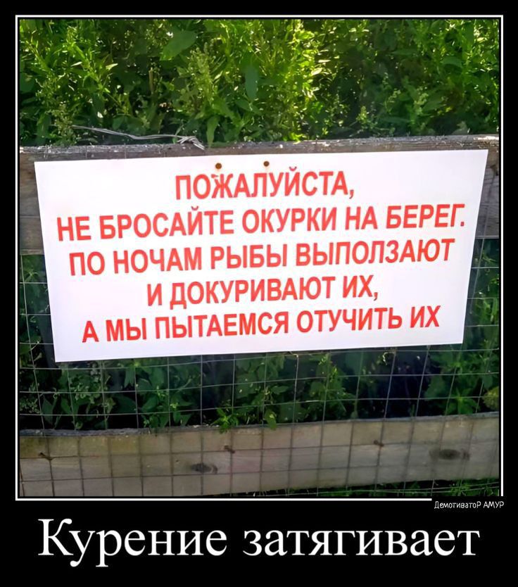 ПОЖАЛУИСТА НЕ БРОСАИТЕ ОКУРКИ НА БЕРЕГ ПО НОЧАМ РЫБЫ ВЫПОЛЗАЮТ И ДОКУРИВАЮТ ИХ А МЫ ПЫТАЕМСЯ ОТУЧИТЬ ИХ Курение затягивает