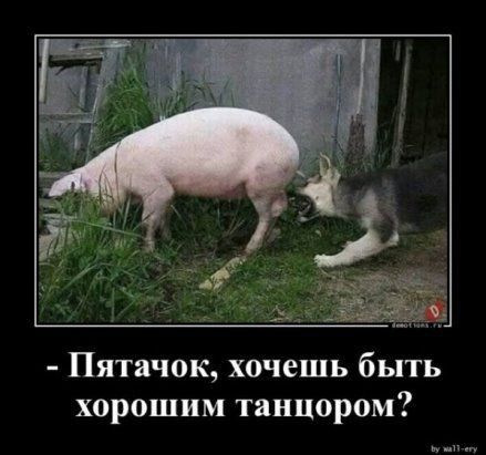 Пятачок хочешь быть хорошим танцорам