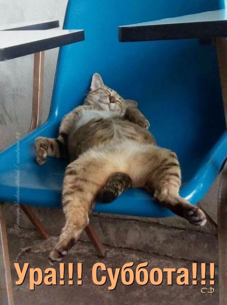 5 суббота 3