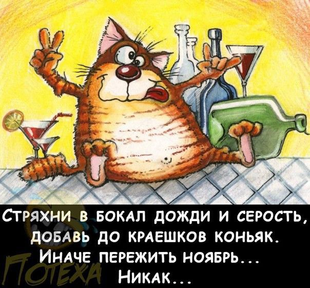 Стряхни в БОКАП дожди и серость дОБАВь до кмешков коньяк ИНАЧЕ пережить нояврь НИКАК