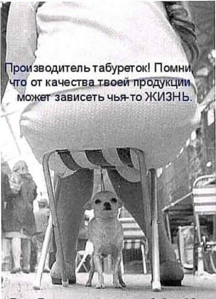 роИзаодительтабуретокі Помн ЧЩ от качая Можвтависеть чья то ЖИЗ