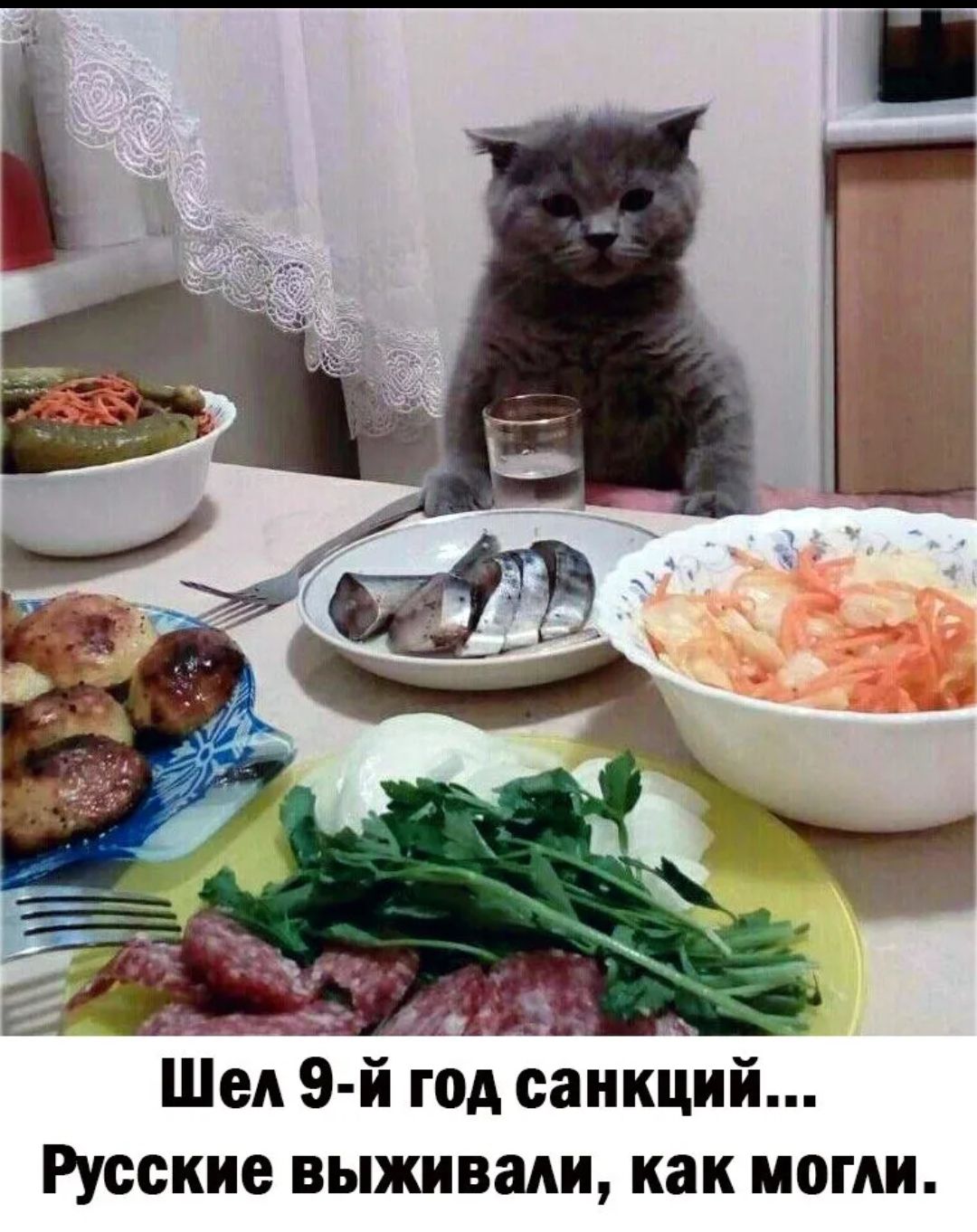 Шел 9 й од санкций Русские выживали как могли