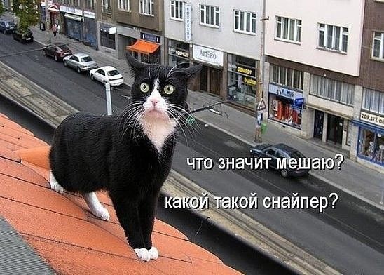 итшзЁ йп