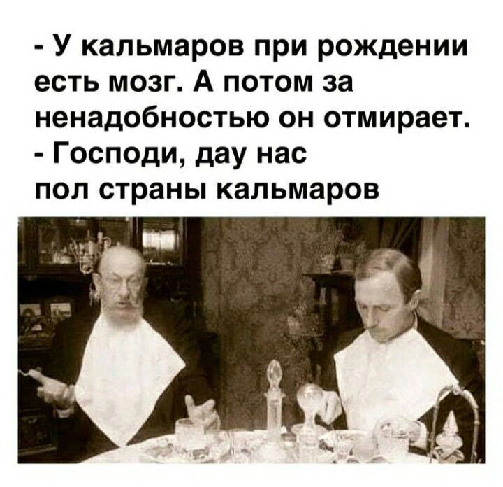 У кальмаров при рождении есть мозг А потом за ненадобностью он отмирает Господи дау нас поп страны кальмаров