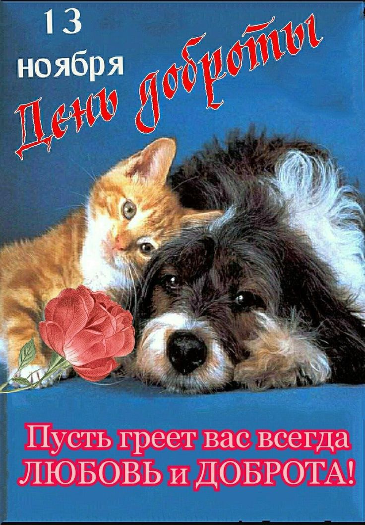 Пусть греет нас всегда ЛЮБОВЬ п ДОБРОГАЪ