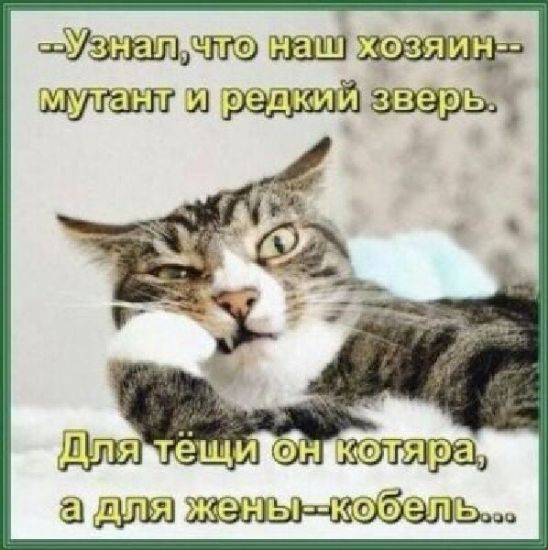 Ужзшдпз шыш для шагьыиэбшы