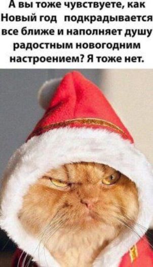 А вы тоже чувствуете как Новый год подкрадываепя все ближе и наполняет душу радостным новогодним настроением Я тоже нет