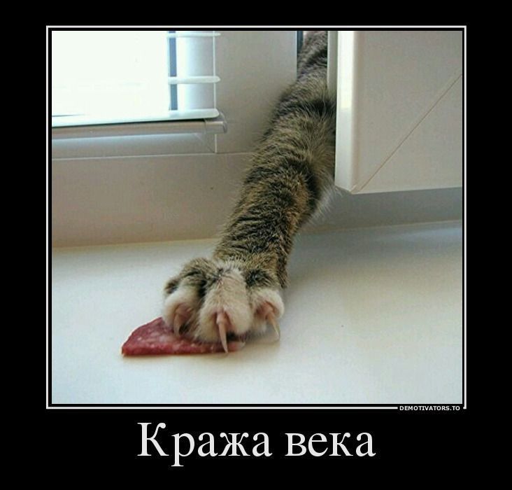Кража века