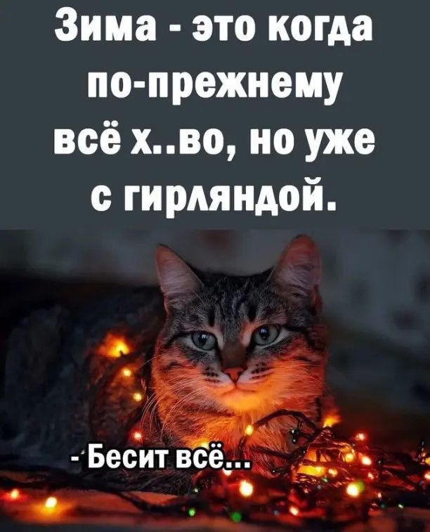 Зима это когда по прежнему всё хво но уже гирляндой