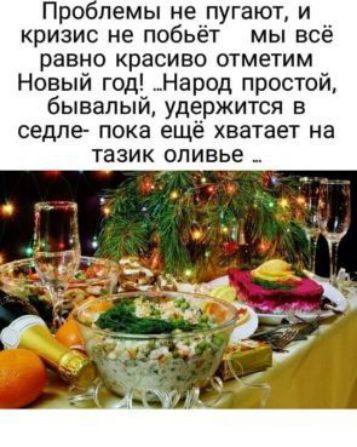 Про пемы не пугают и кризис не побьёт мы всё равно красиво отметим Новый год Народ простой бывалый удержится в седле пока ещё хватает на тазик оливье _