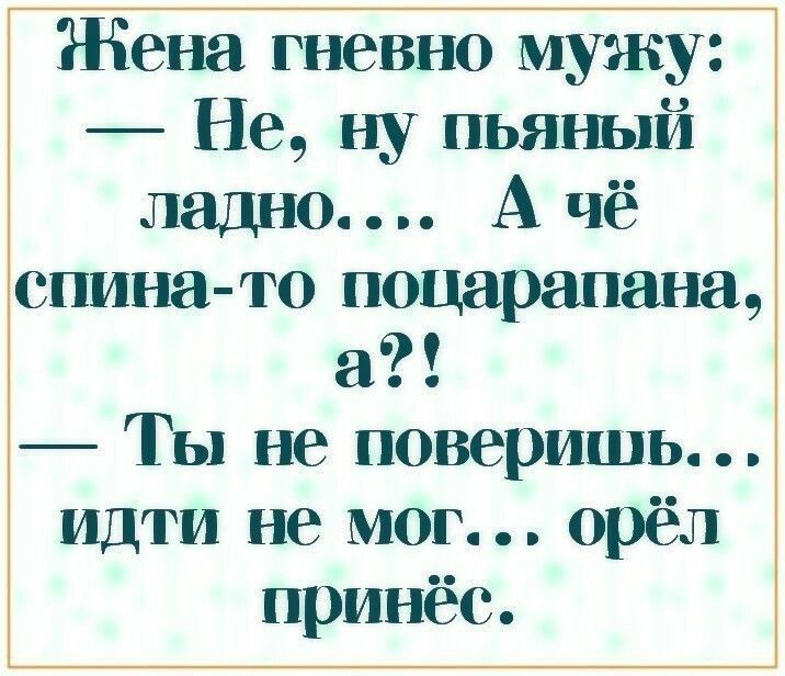 Жена гневно мужу Не ну пьяный ладно А чё спина то поцарапат а Ты не поверишь идти не мог орёл принёс