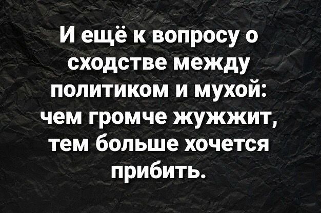 И ещё к вопросу о сходстве между политиком и мухой чем громче жужжит тем больше хочется прибить