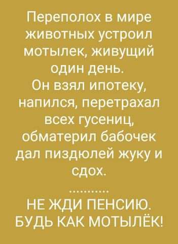 Переполох в мире животных устроил мотылек живущий один день Он взял ипотеку напился перетрахал всех гусениц обматерил бабочек дал пиздюлей жуку и сдох НЕ жди ПЕНСИЮ БУДЬ КАК МОТЫЛЁК