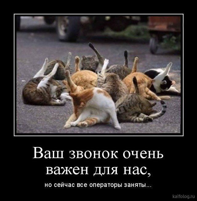 Ваш звонок очень важен для нас по сей все оперпоры пины